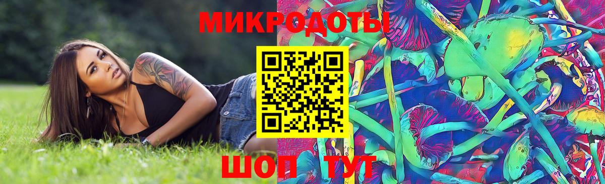 Абакан  даркнет сайт  Вход с VPN  Галлюциногенные грибы Psilocybe 